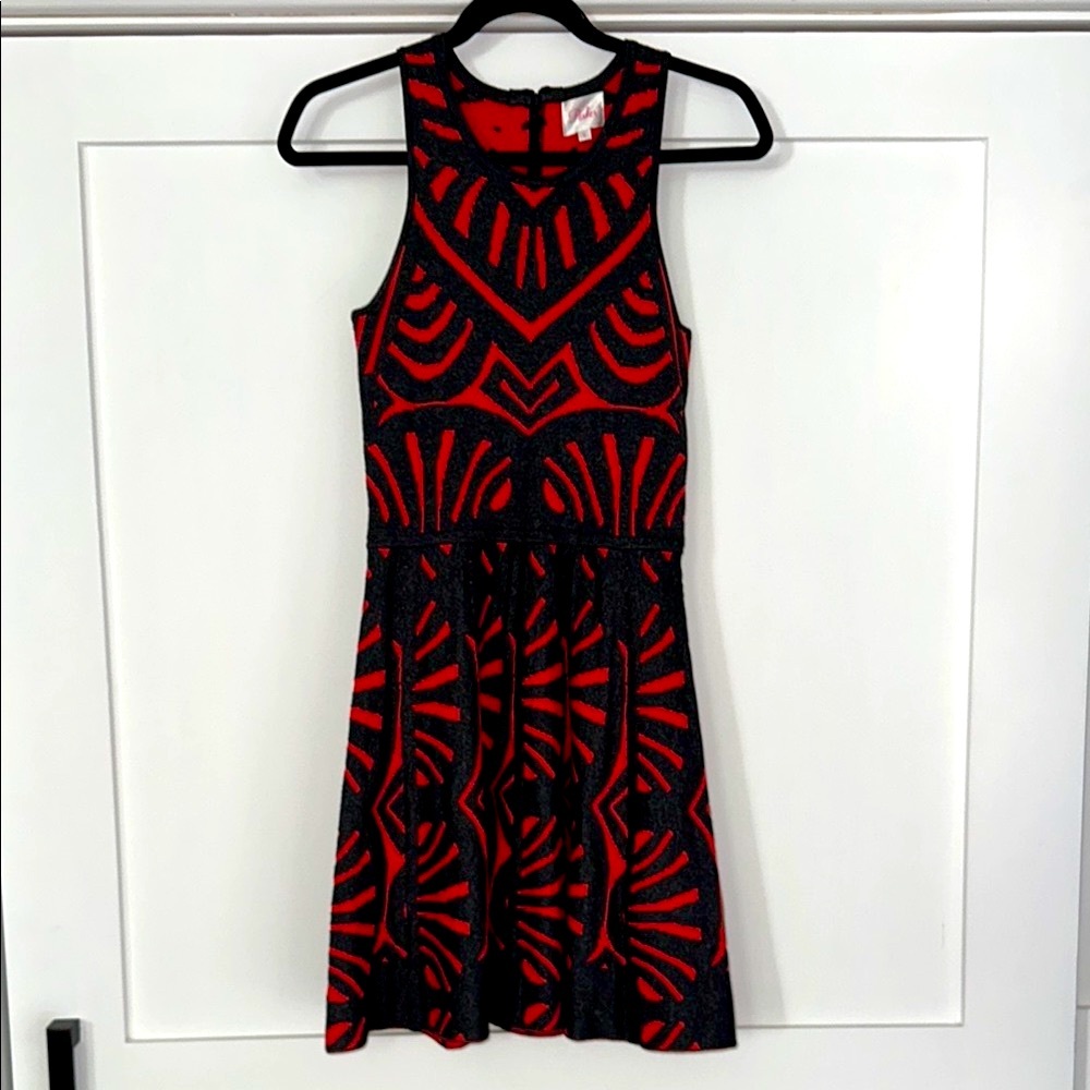 Gorgeous PARKER stretchy dress!